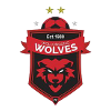 南部海岸狼隊U20 vs 悉尼FCU20
