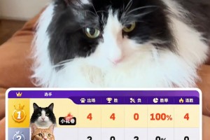 詹俊的貓預(yù)測世界杯賽果100%準(zhǔn)確