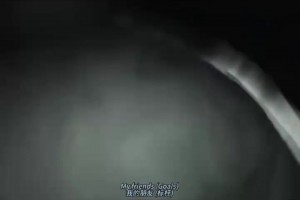 娛樂至死？現(xiàn)在的世界杯宣傳曲vs以前的世界杯宣傳曲！