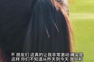現(xiàn)場直擊！女記者成功引起C羅注意，下一秒直接激動到缺氧！